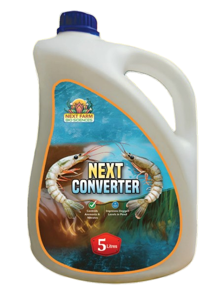 Next Converter 1:1 Studio Packshot