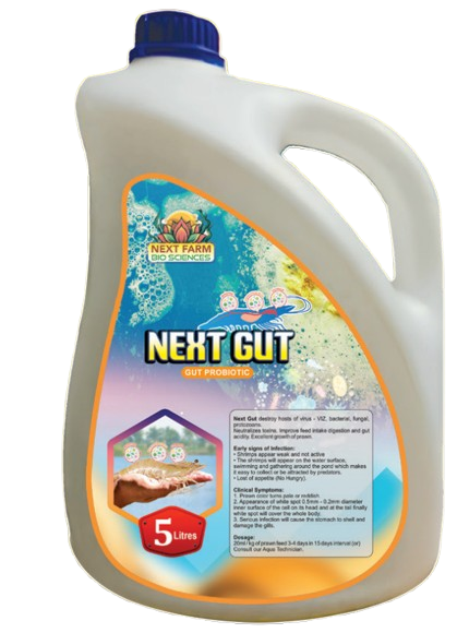 Next Gut 1:1 Studio Packshot