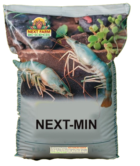 Next-Min 1:1 Studio Packshot