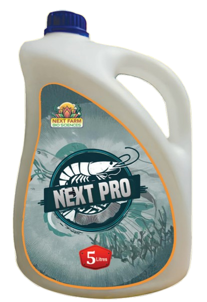 Next Pro 1:1 Studio Packshot