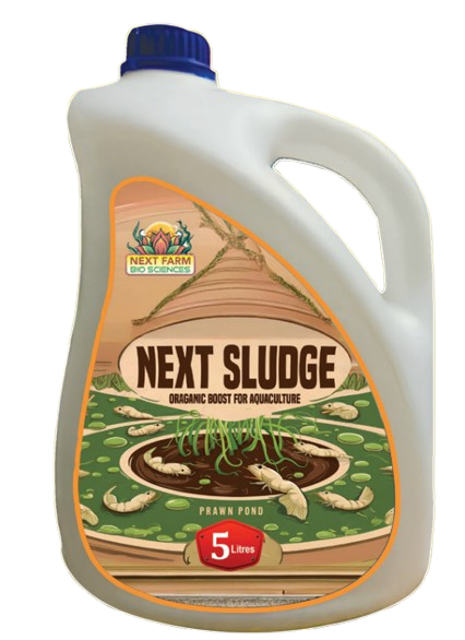 Next Sludge 1:1 Studio Packshot